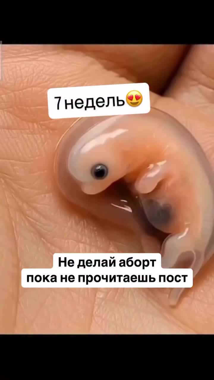 @alaeva.ekaterina