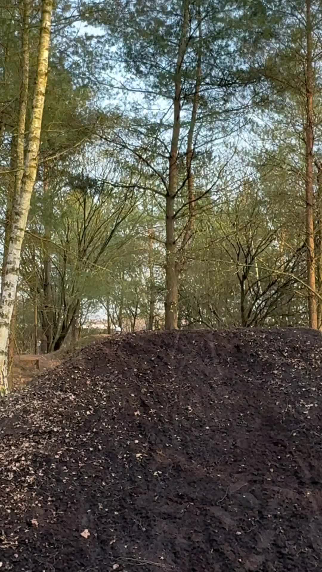 @Maxmartin.dirt