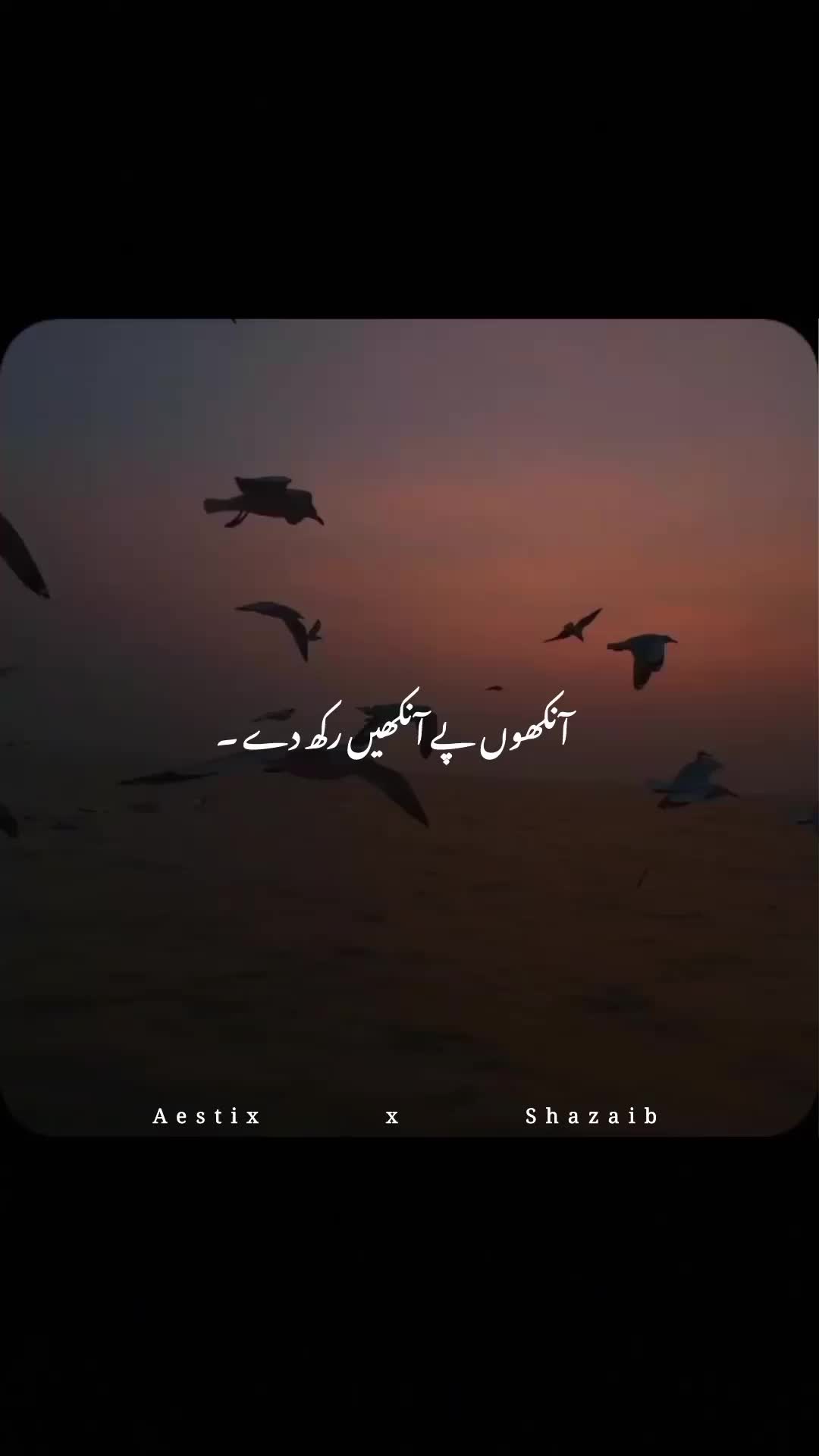 @Aestix x Shazaib