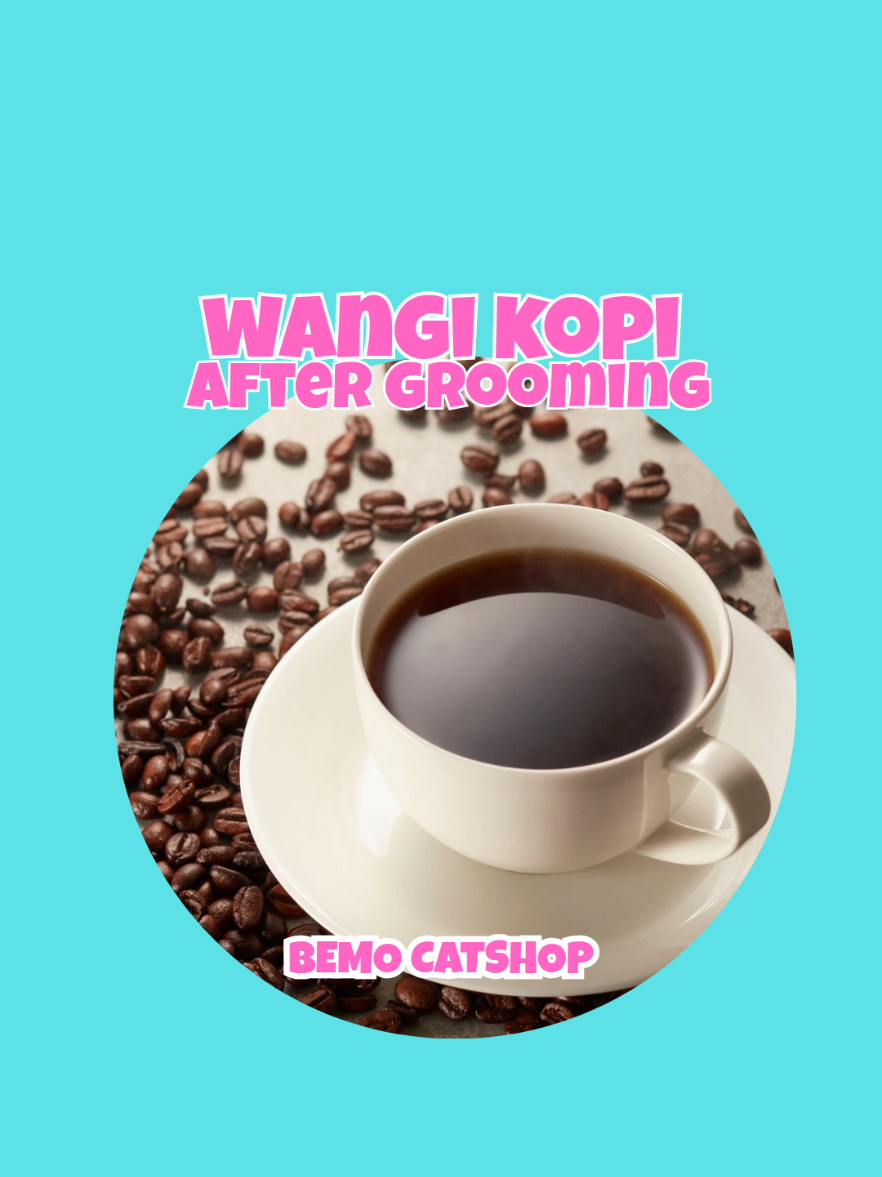 @Bemo Catshop