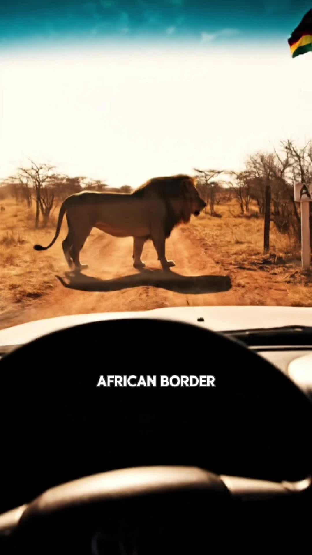 @JRE AnimalRants