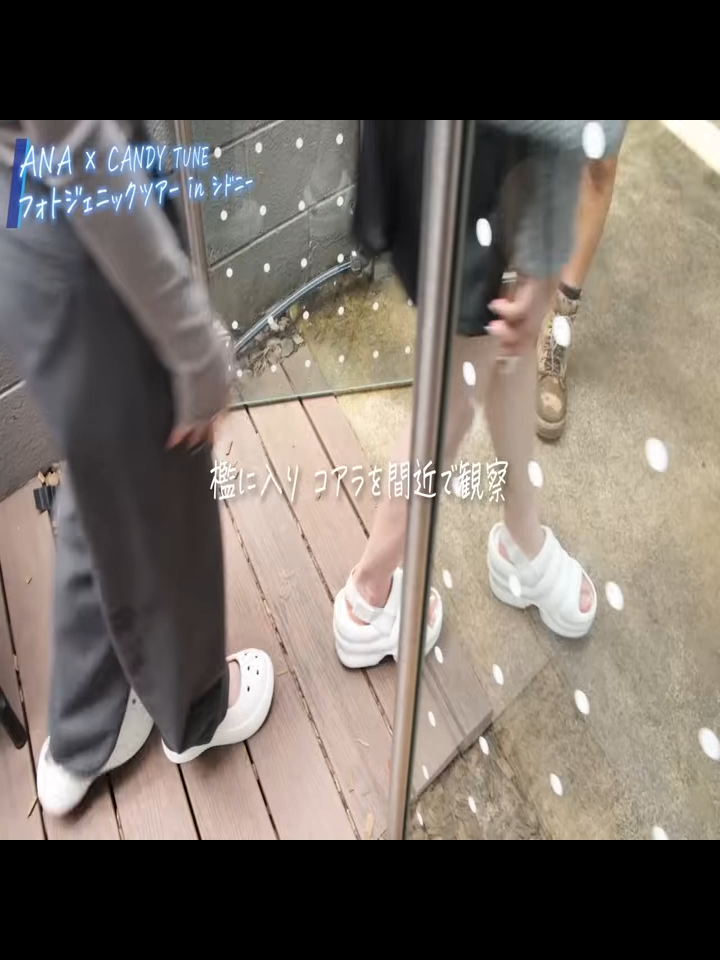 @user268520823181328