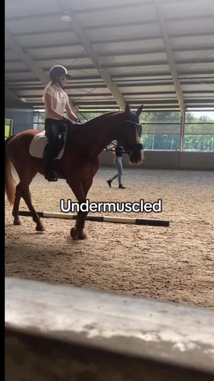 @🇳🇱Madelief🇳🇱
