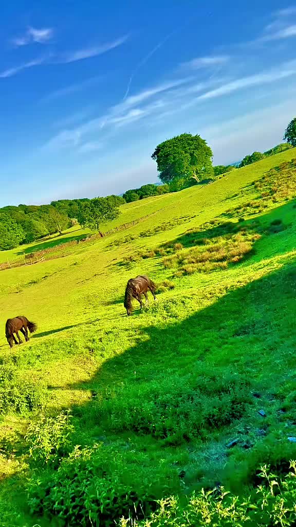 @Nature lover