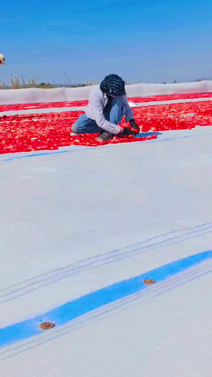 @🔥 ZÜLFÜKAR 🔥