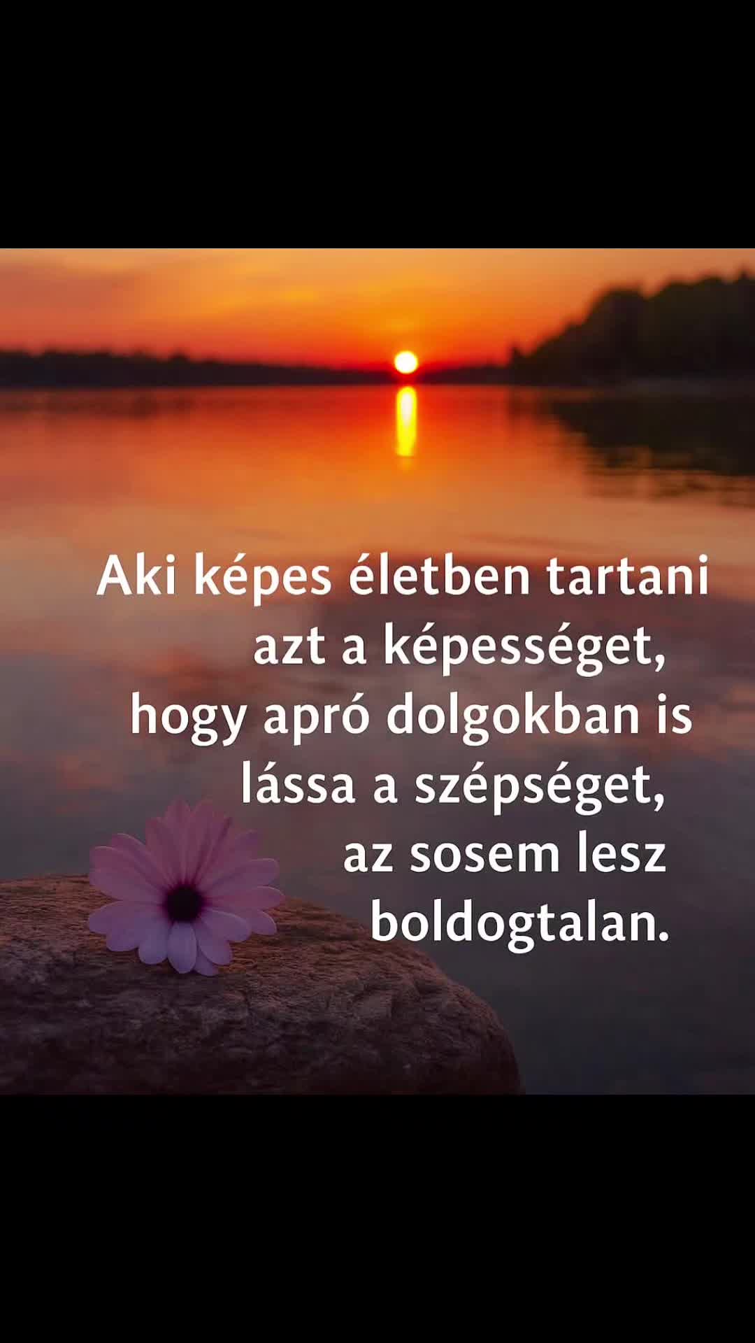 @Zsuzsanna Handrik