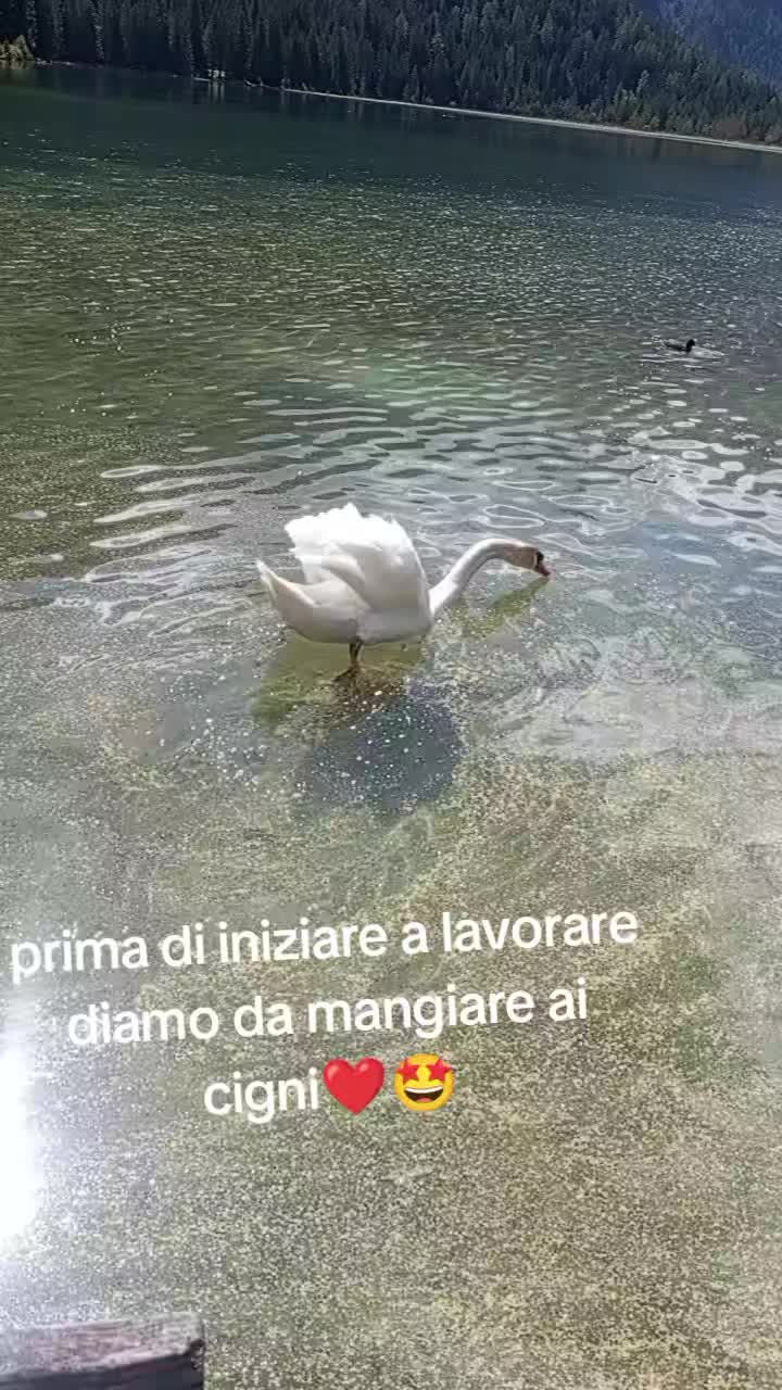 @angela