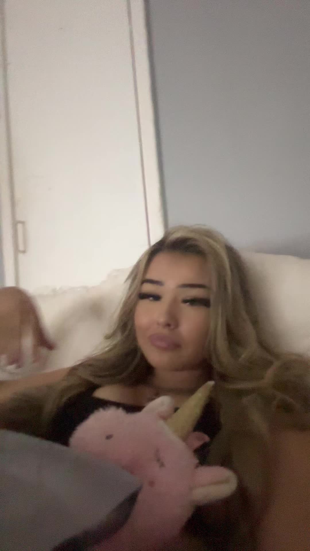 @wonderland2.0