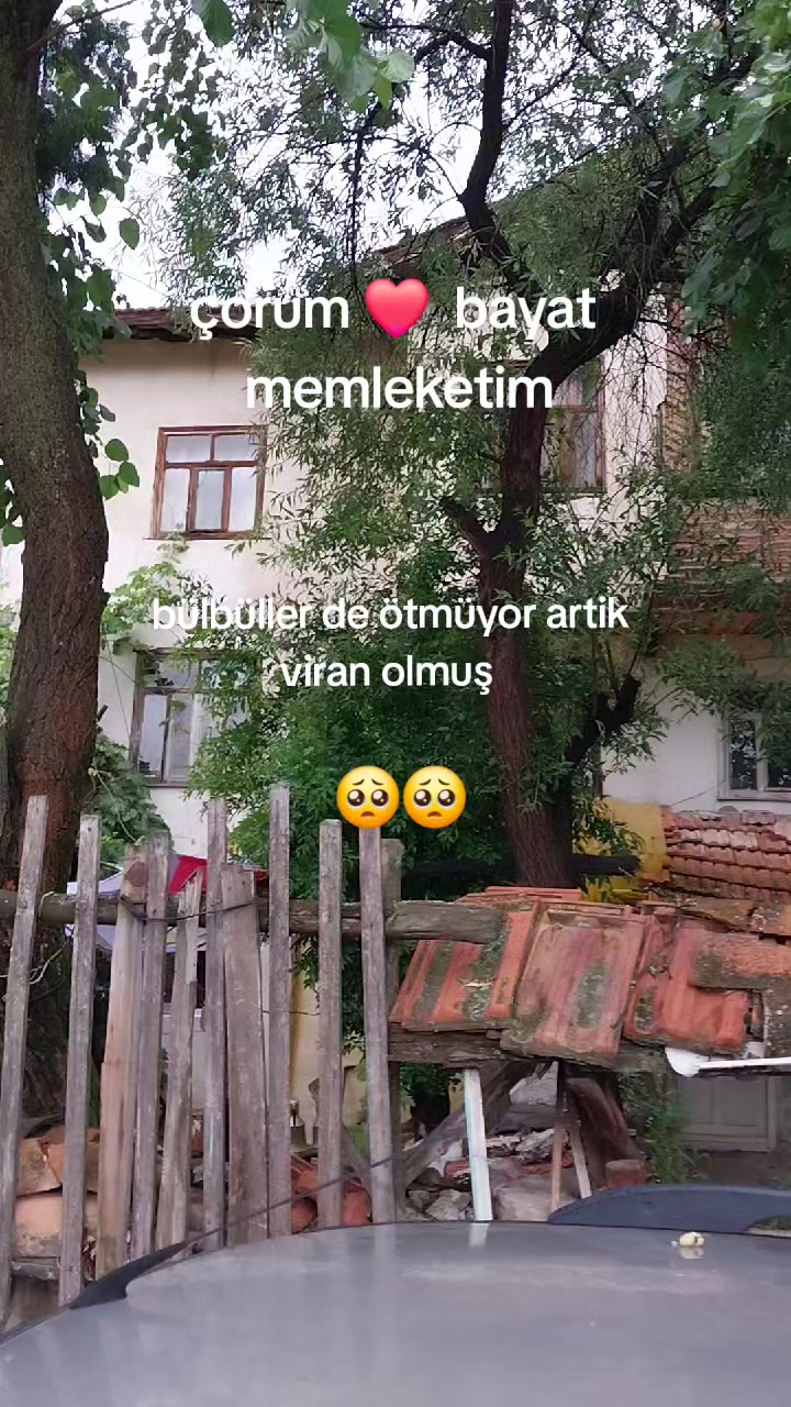 @06 ❤️denizalp❤️19