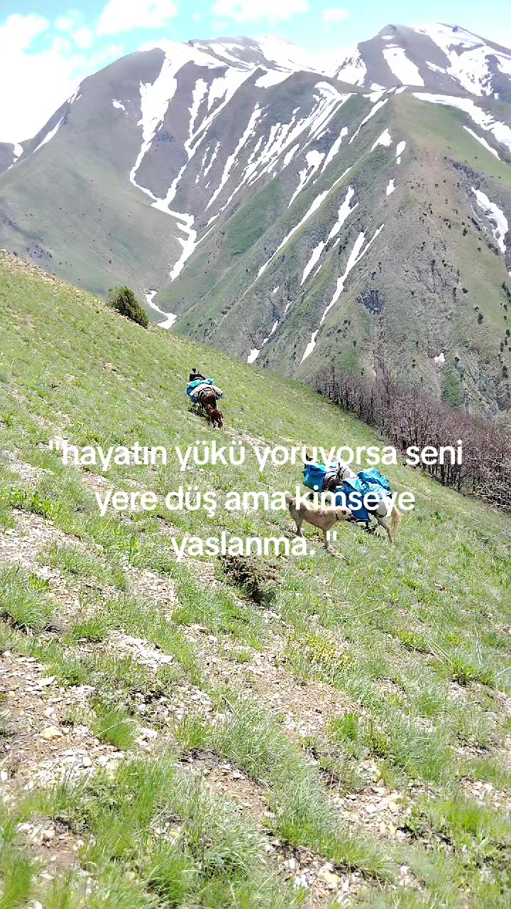 @𝑀𝑒𝓂𝑜_𝒢_𝑅_𝐵_𝒵_