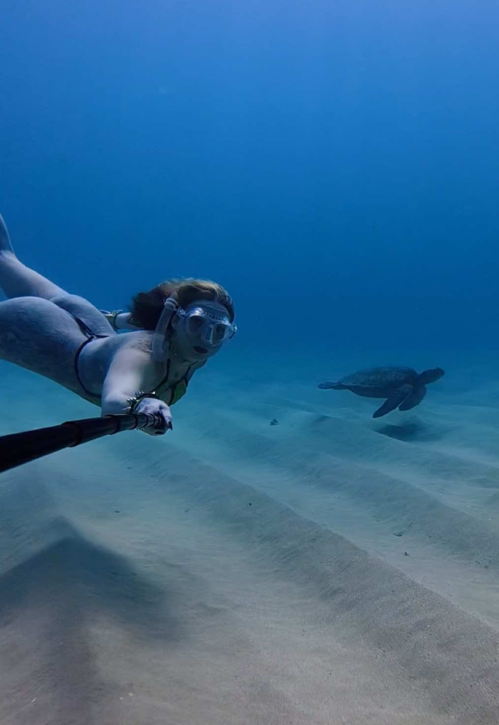 @Coralia Dives ๐งโ๏ธ