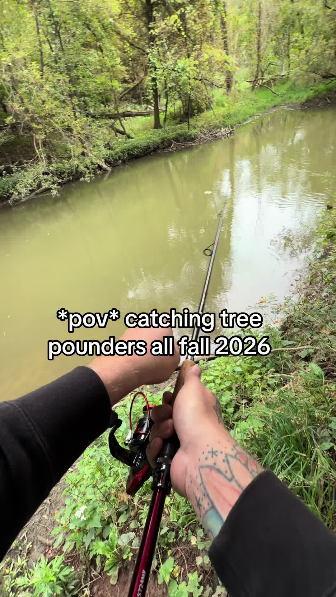@CoryCatchem