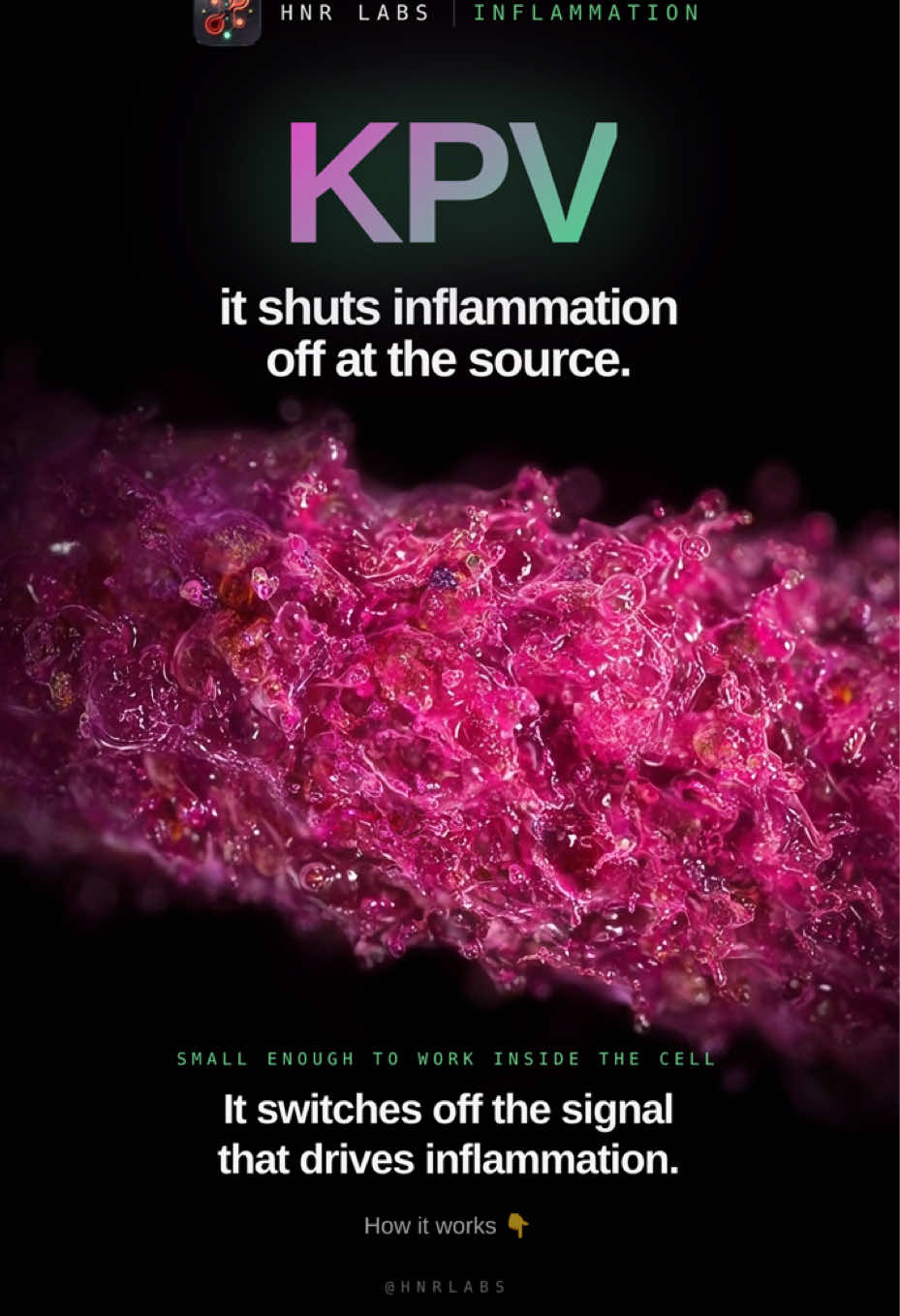 @HNR Labs
