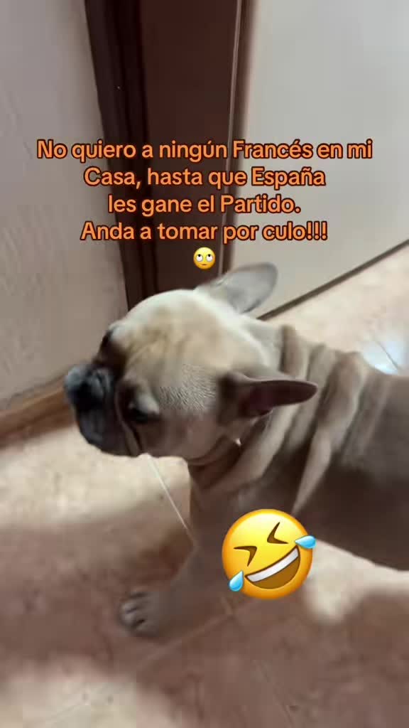 @💫Juan☄️