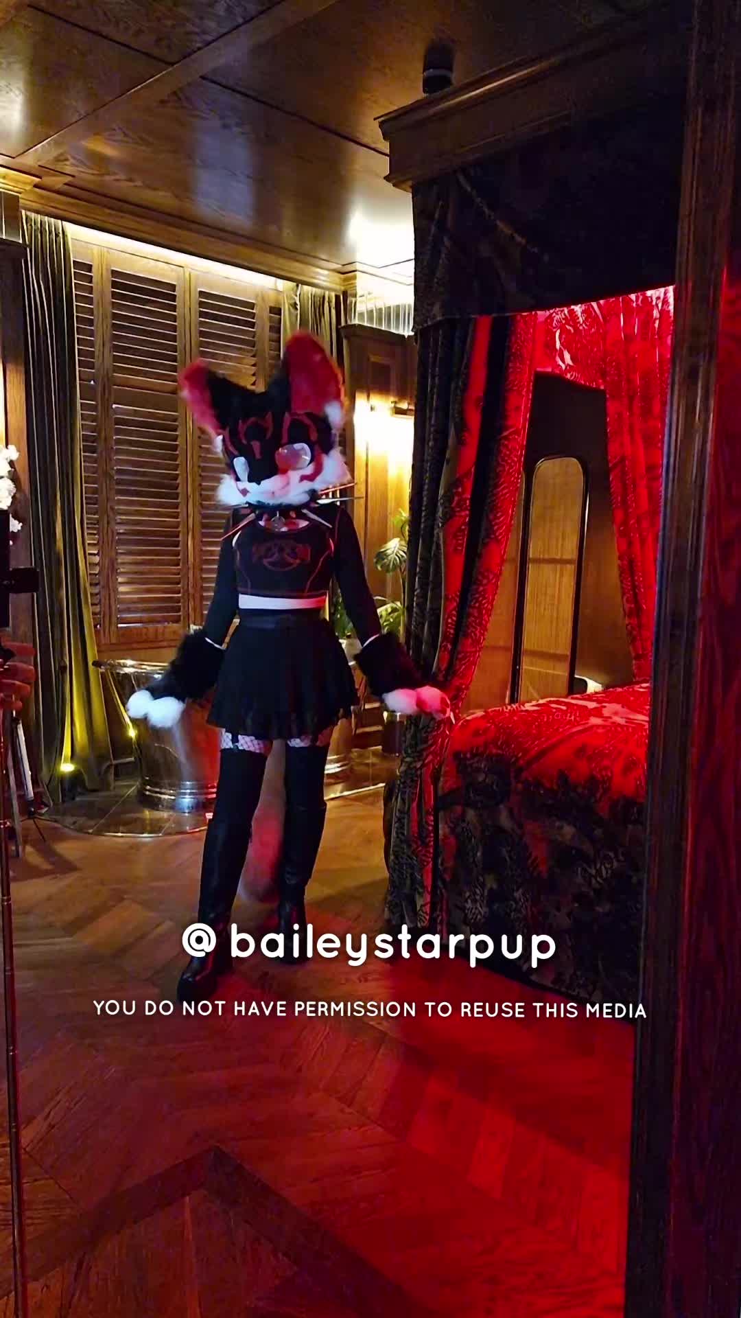 @Bailey (lilpixiekitten)