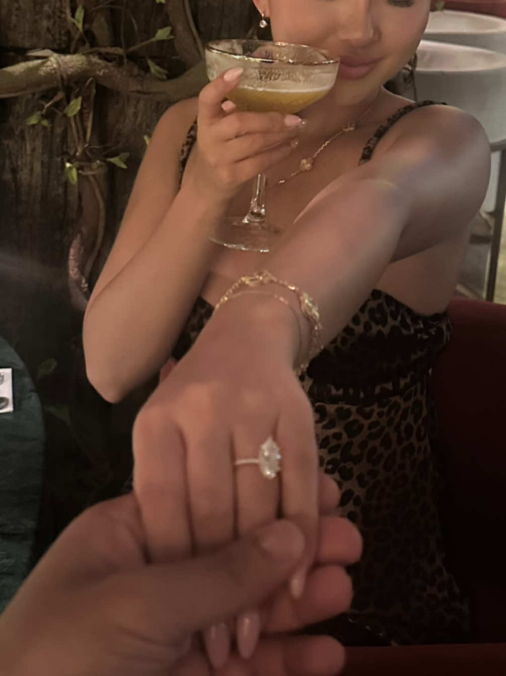 @bvidhata