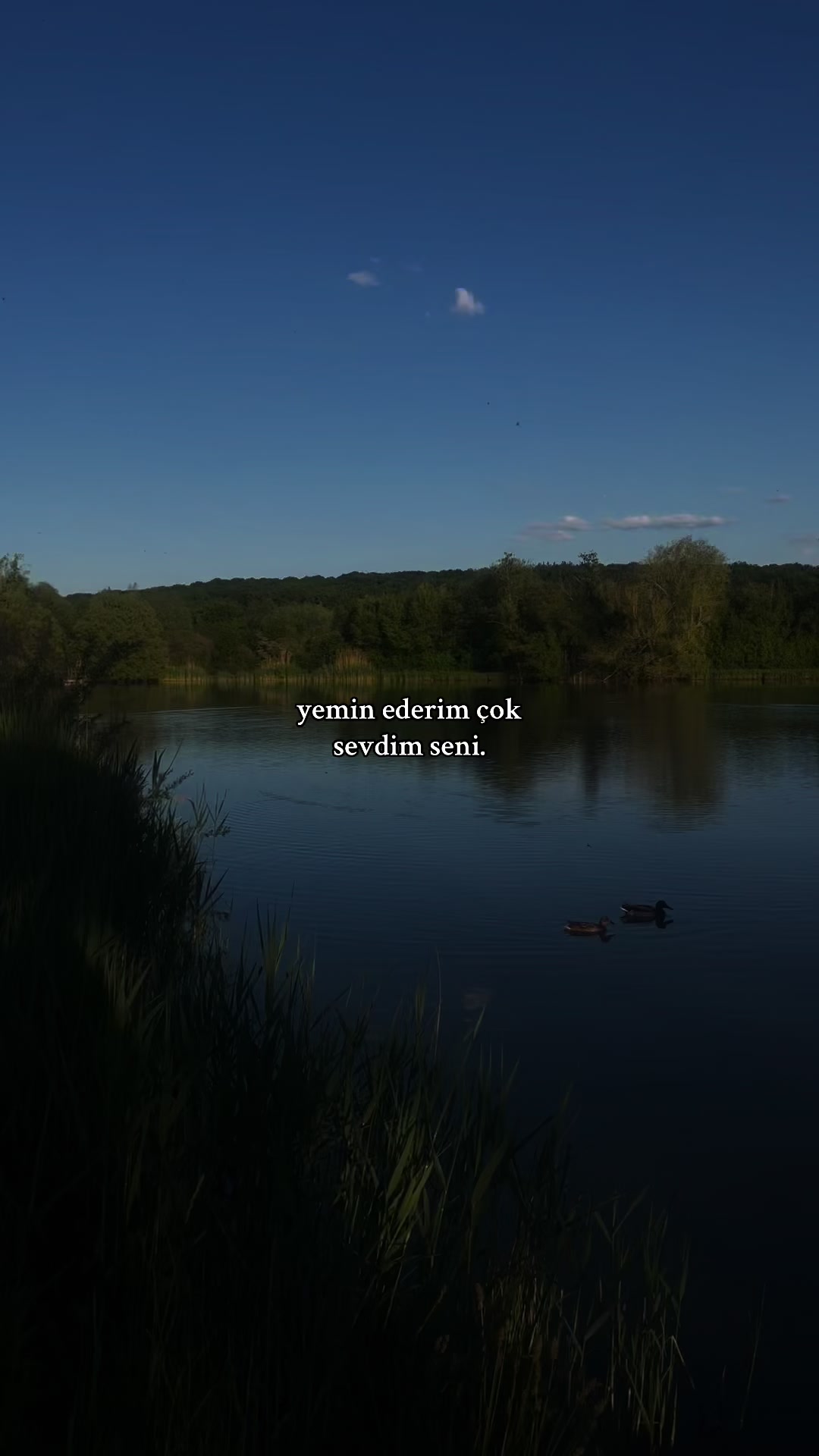 @turkdeepler