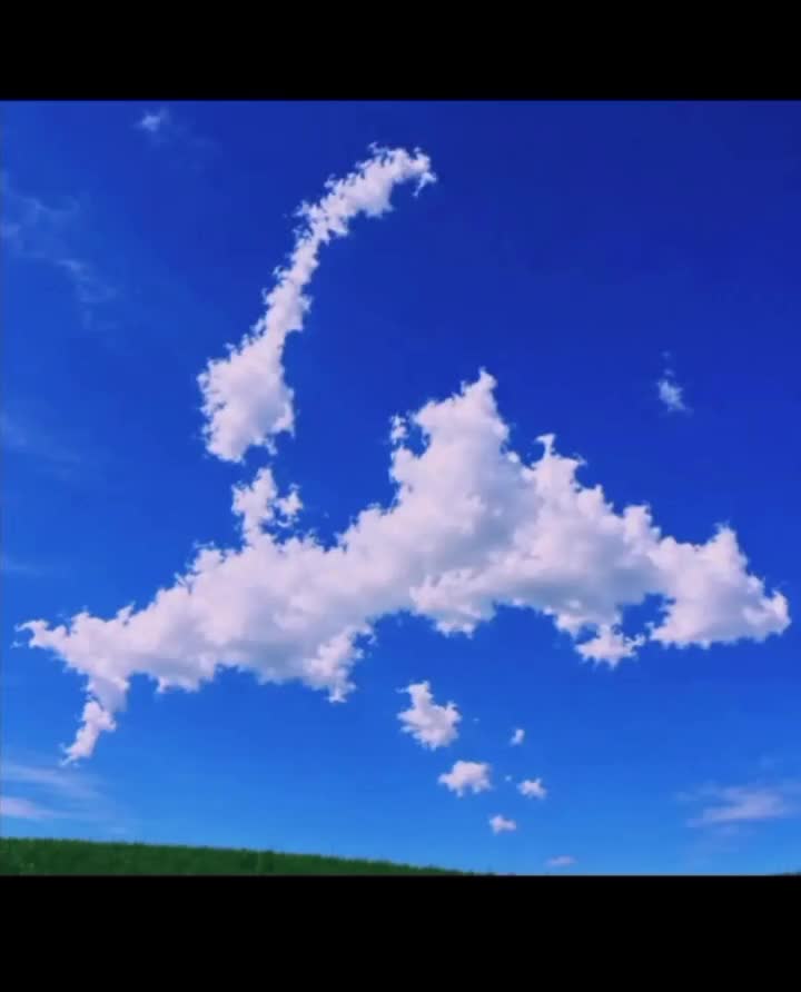 @sympiosis