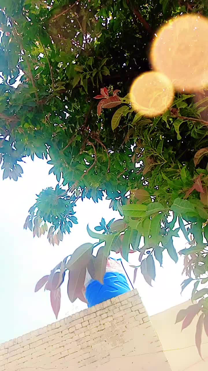 @🤨Mental jutt👈🙂↔️