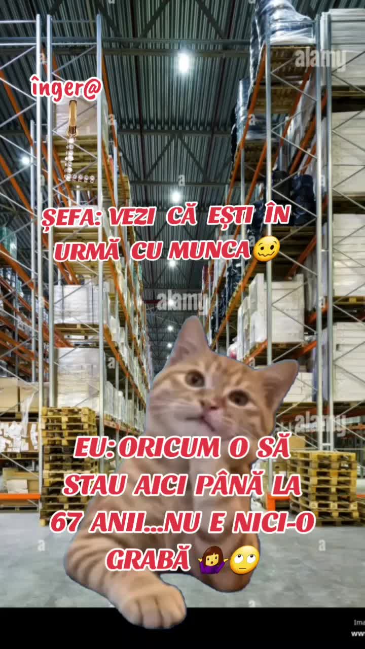 @înger