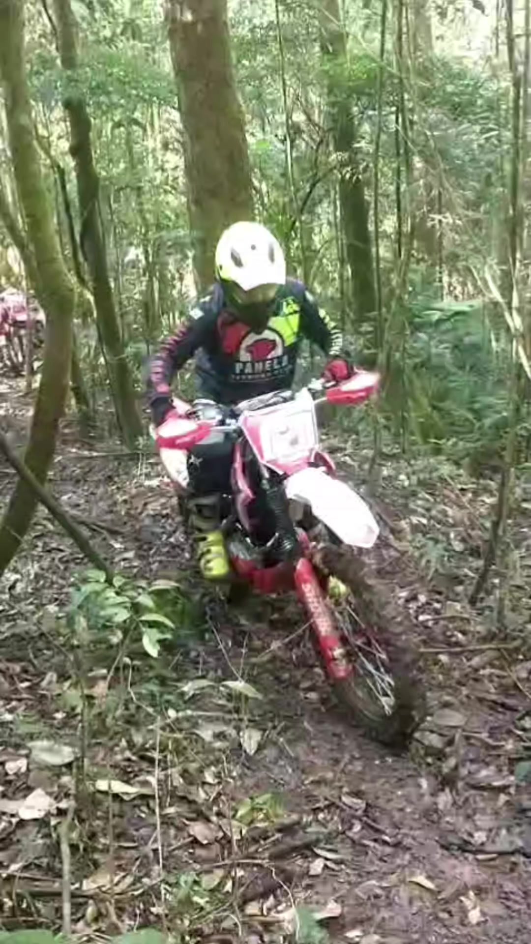 @Daniel De Oliveira D