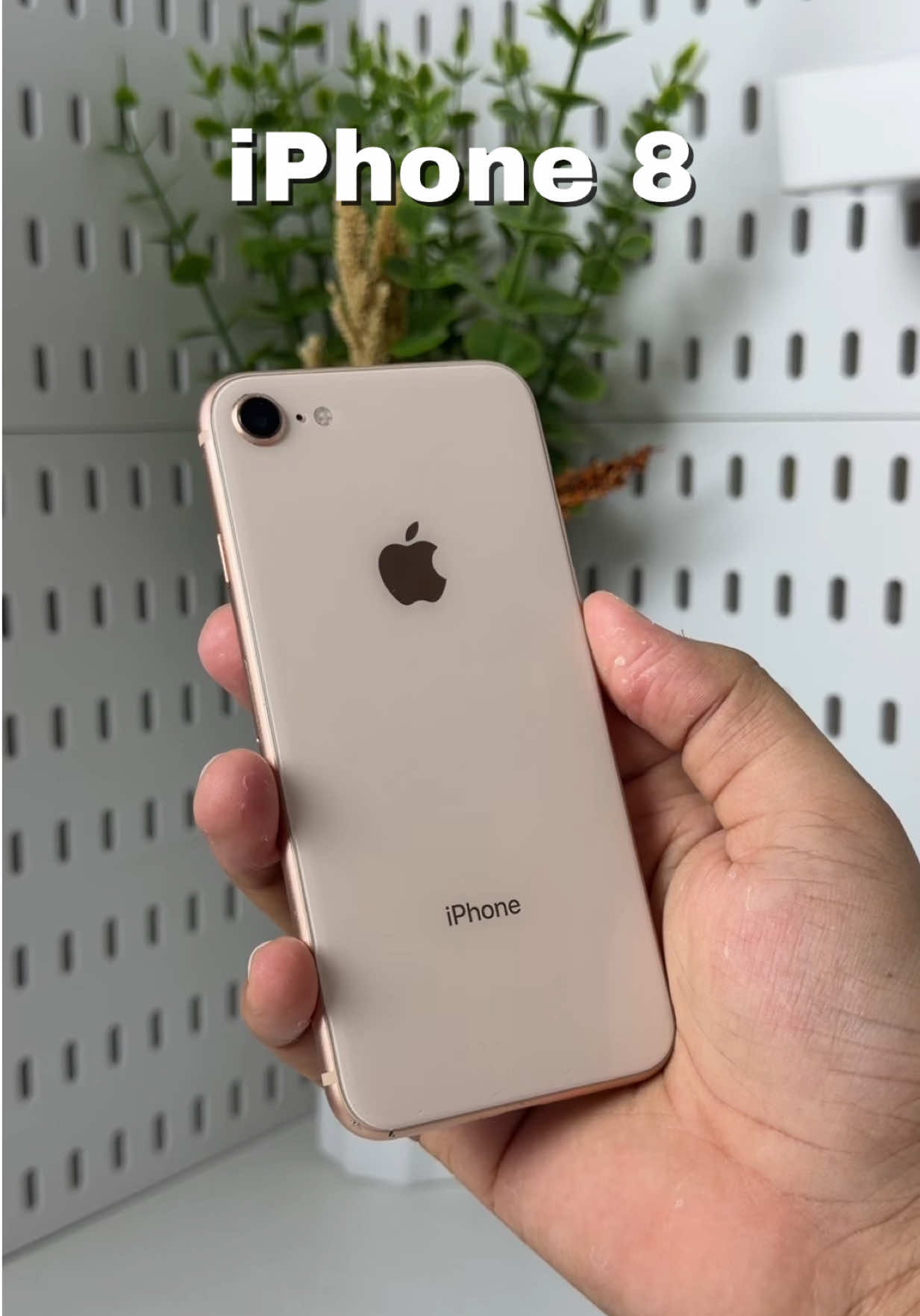 @iPhonary 🩷