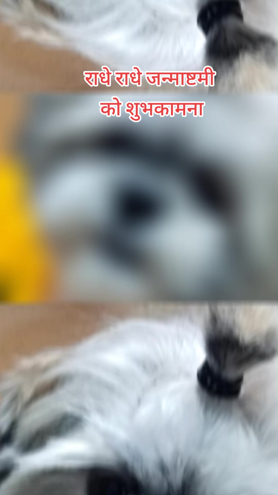 @sweetnancylama143