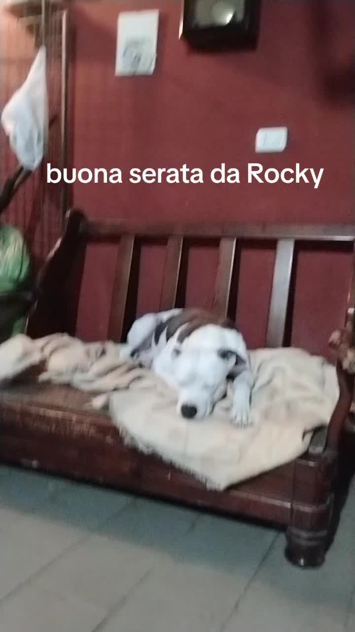 @Angelo romano