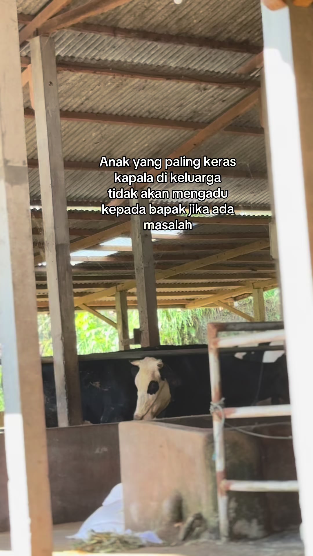 @Bregas Jaya