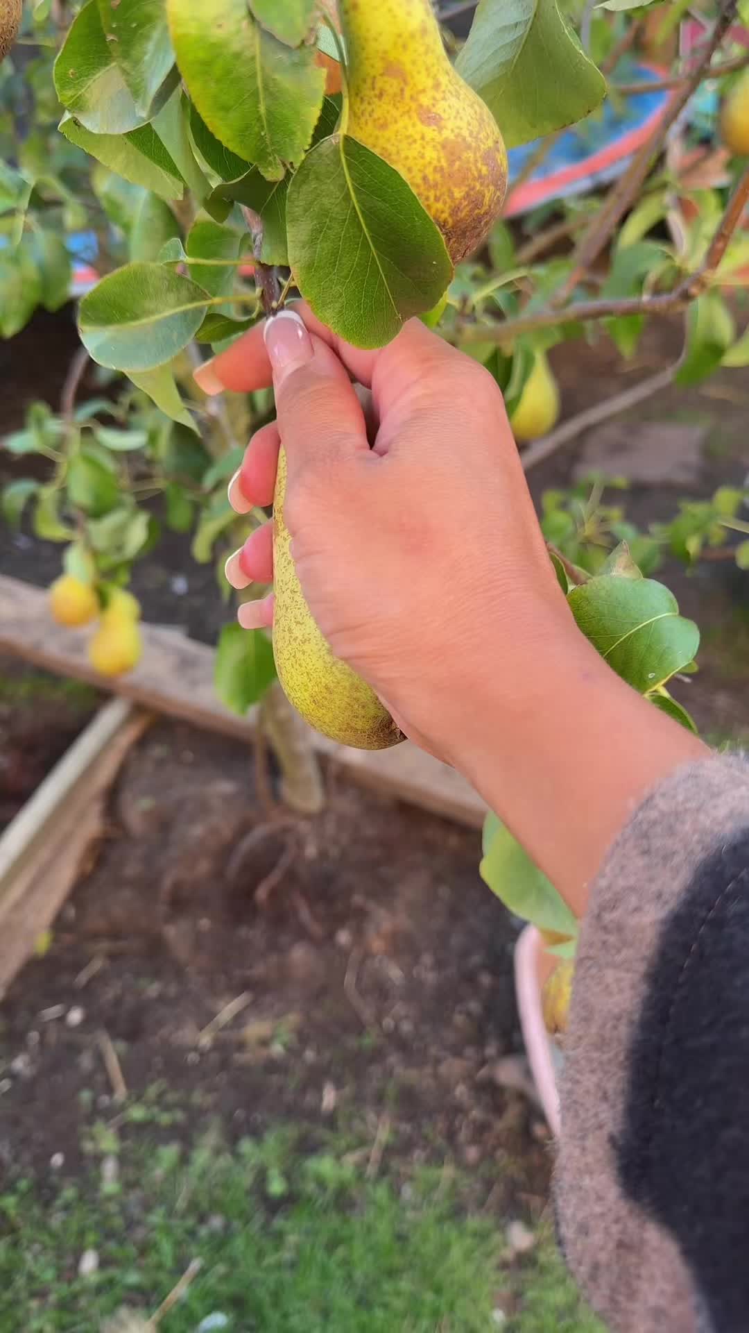 @Hanadi هنادي