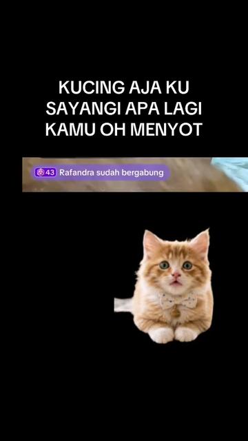 @Rafandra