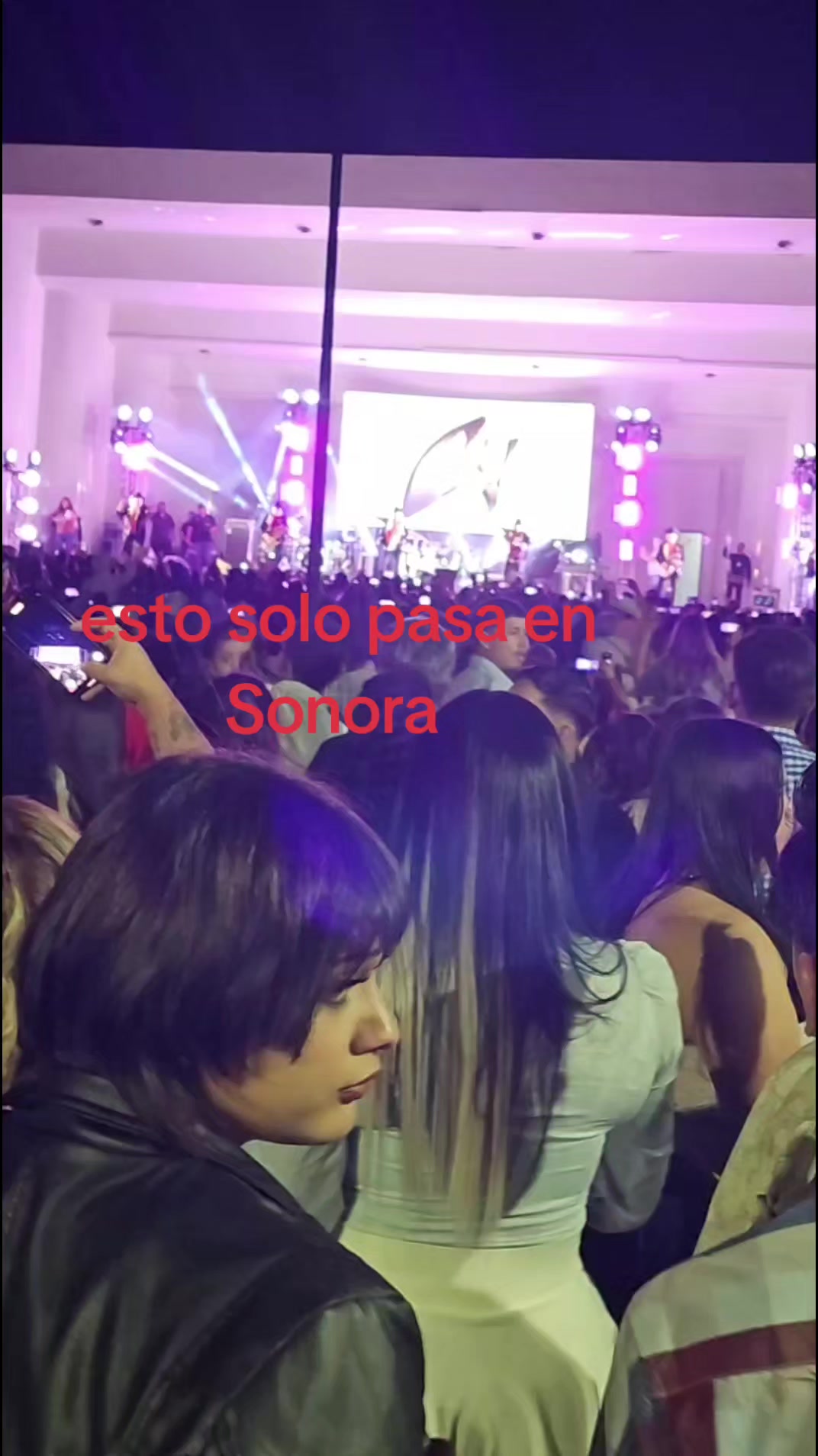 @Niche bella