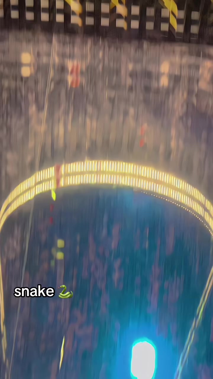 @snake__148