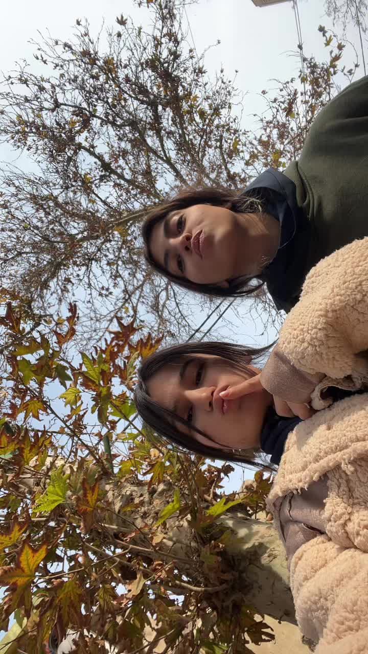 @Paniz Mansori