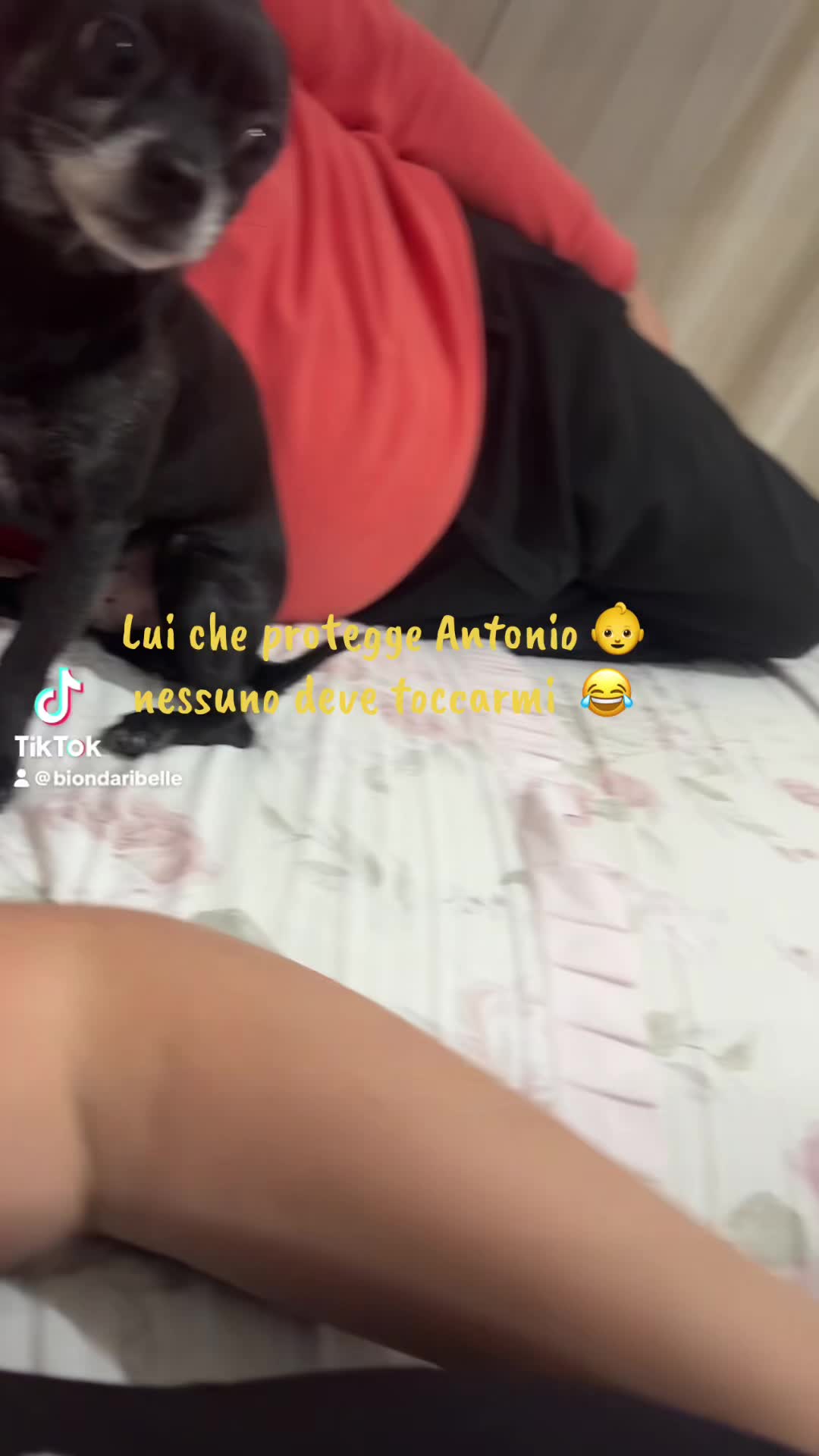 @biondaribelle