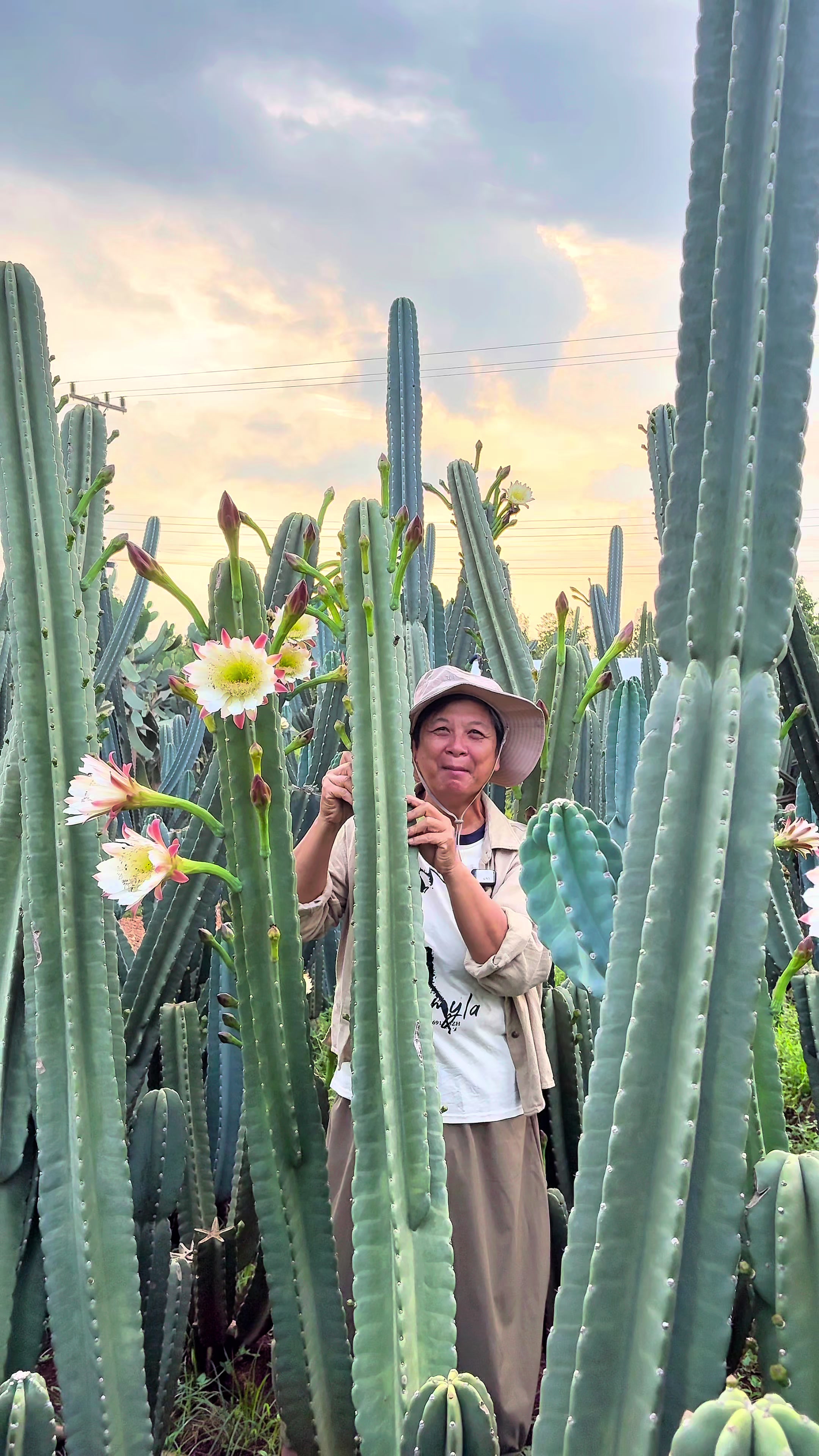 @ไร่วันยังขำ Oneyoungkham farm