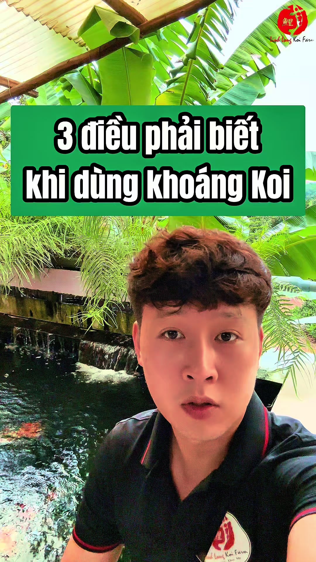 @Linh Long Koi Farm