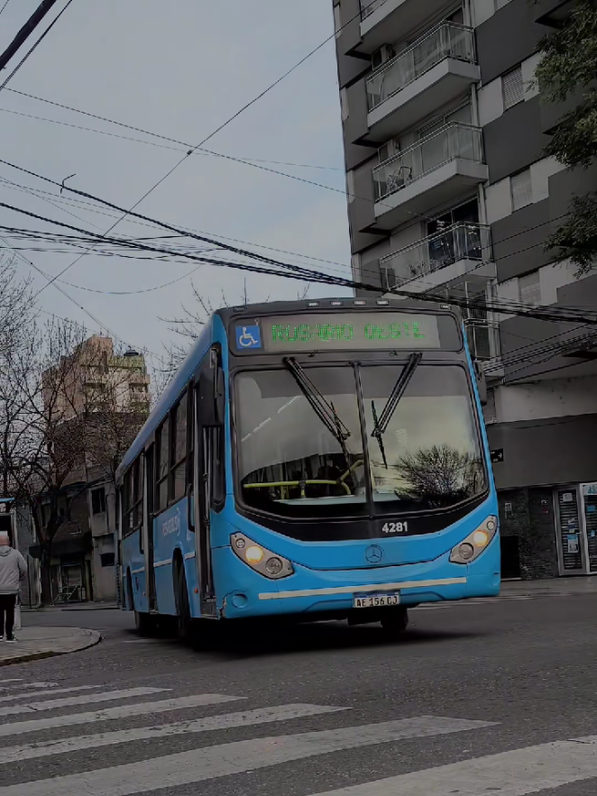 @el de un poco de bondi