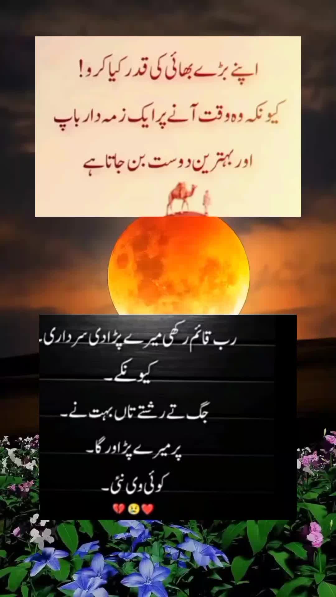 @sharaiz