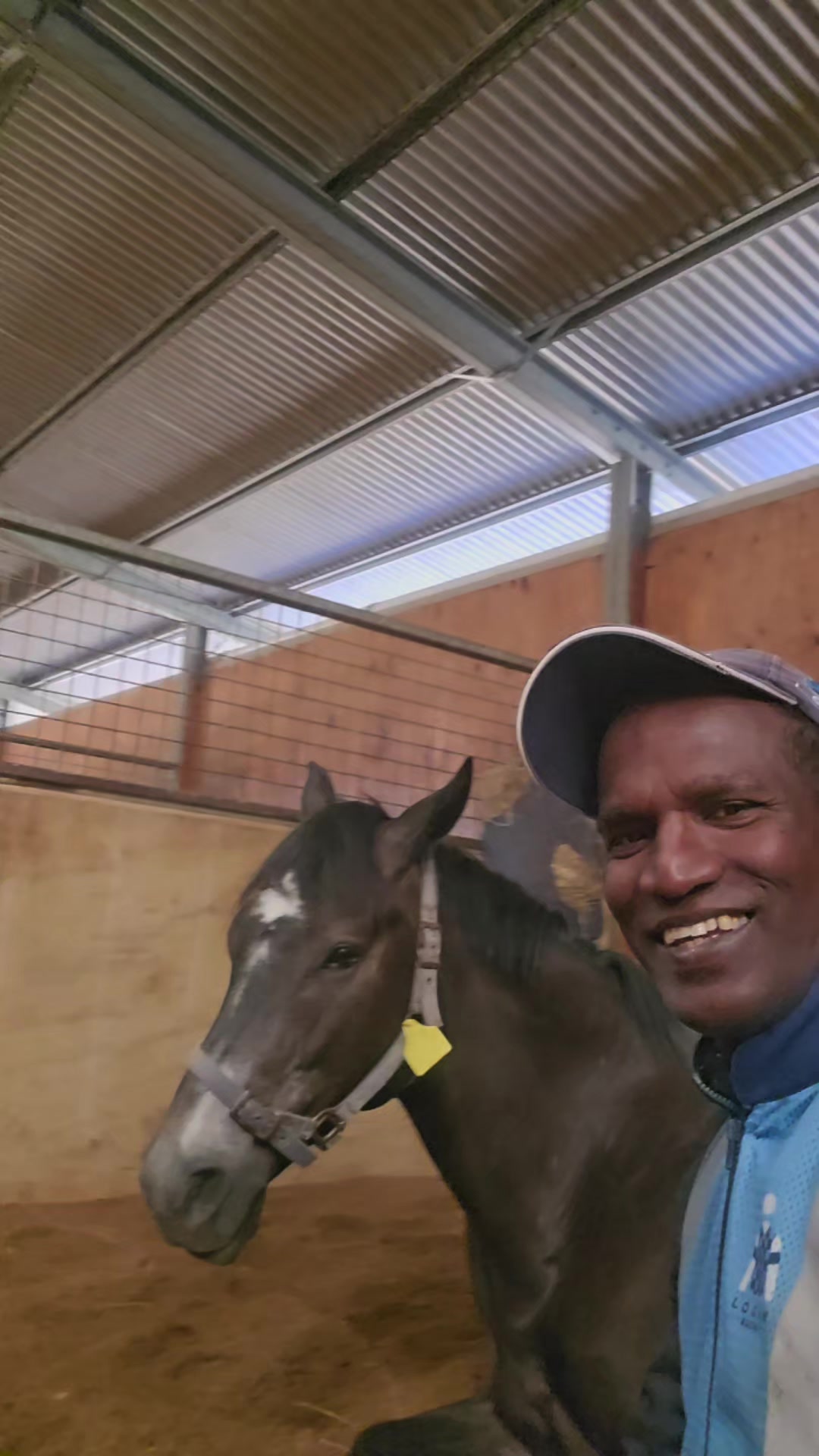 @kevin 🏆🏇🏇🏇🏆 🇸🇬🇲🇾🇳🇿