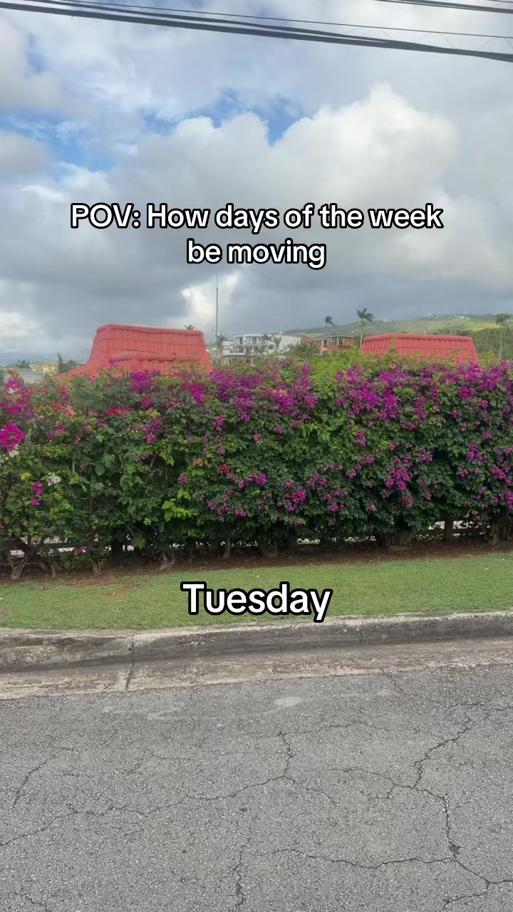 @𝐓𝐑𝐄𝐍𝐃𝐈𝐍𝐆 𝐔𝐓𝐄🤴🏽!