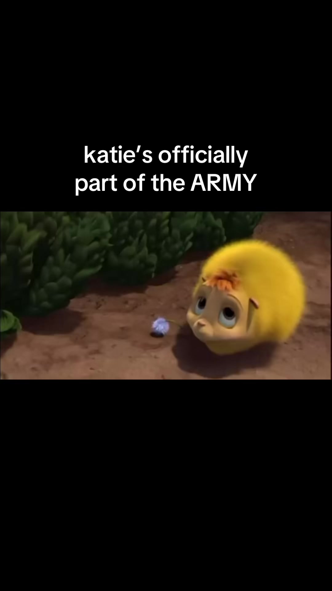 @joloe
