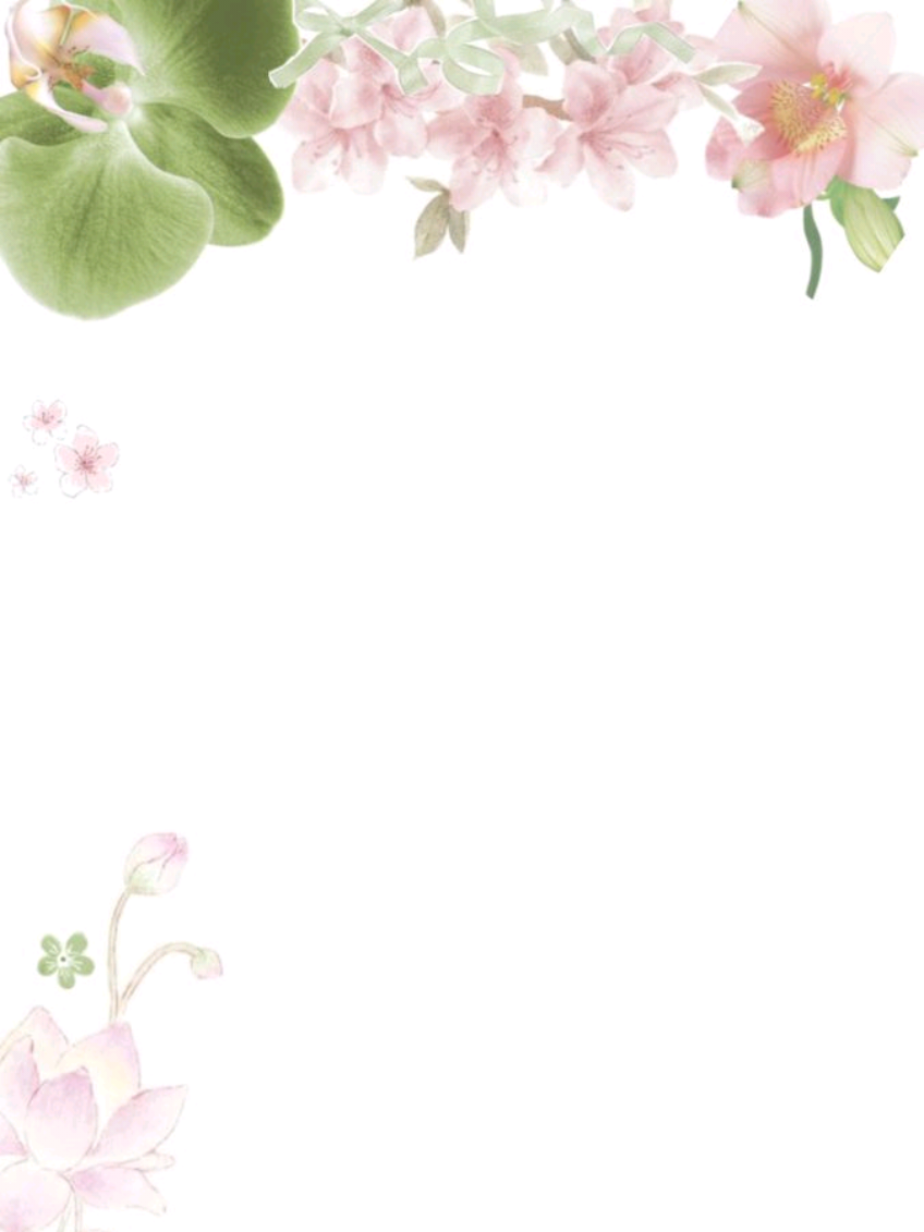 @compy⁸ ᓀ‸ᓂ