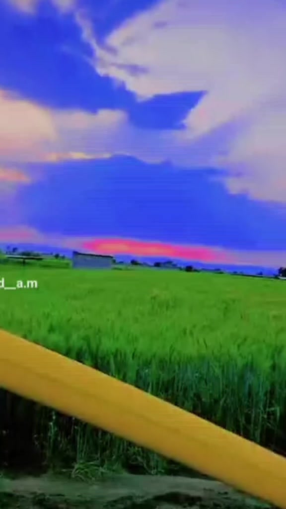 @🇲 مــــانـــــی گل خواژہ🇦