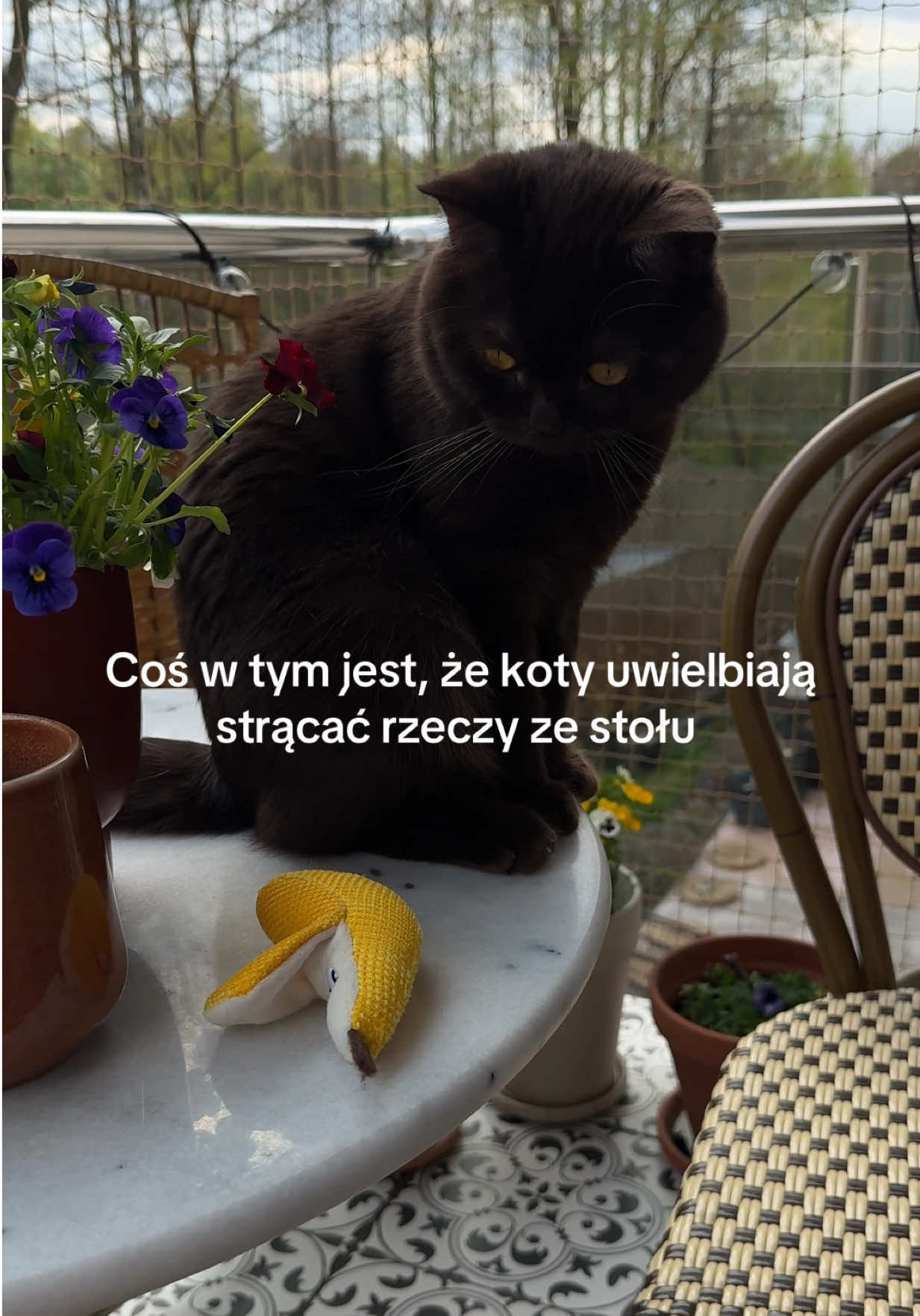 @Simplylifestory