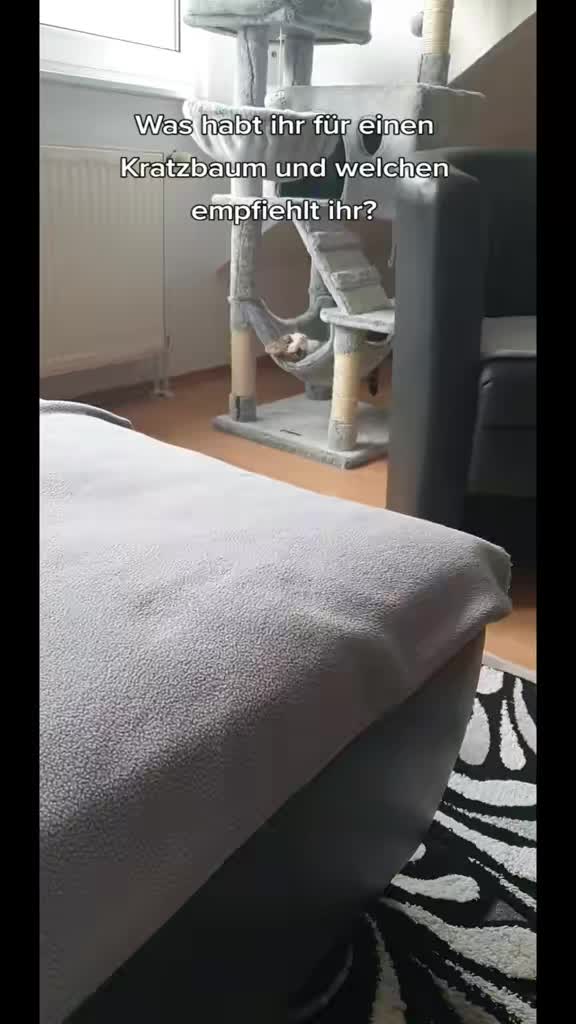@Minnoş❤💙61