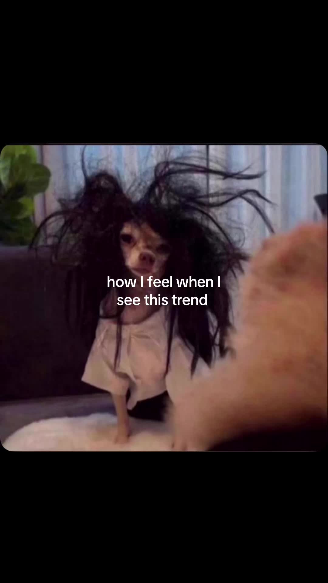 @Sophie