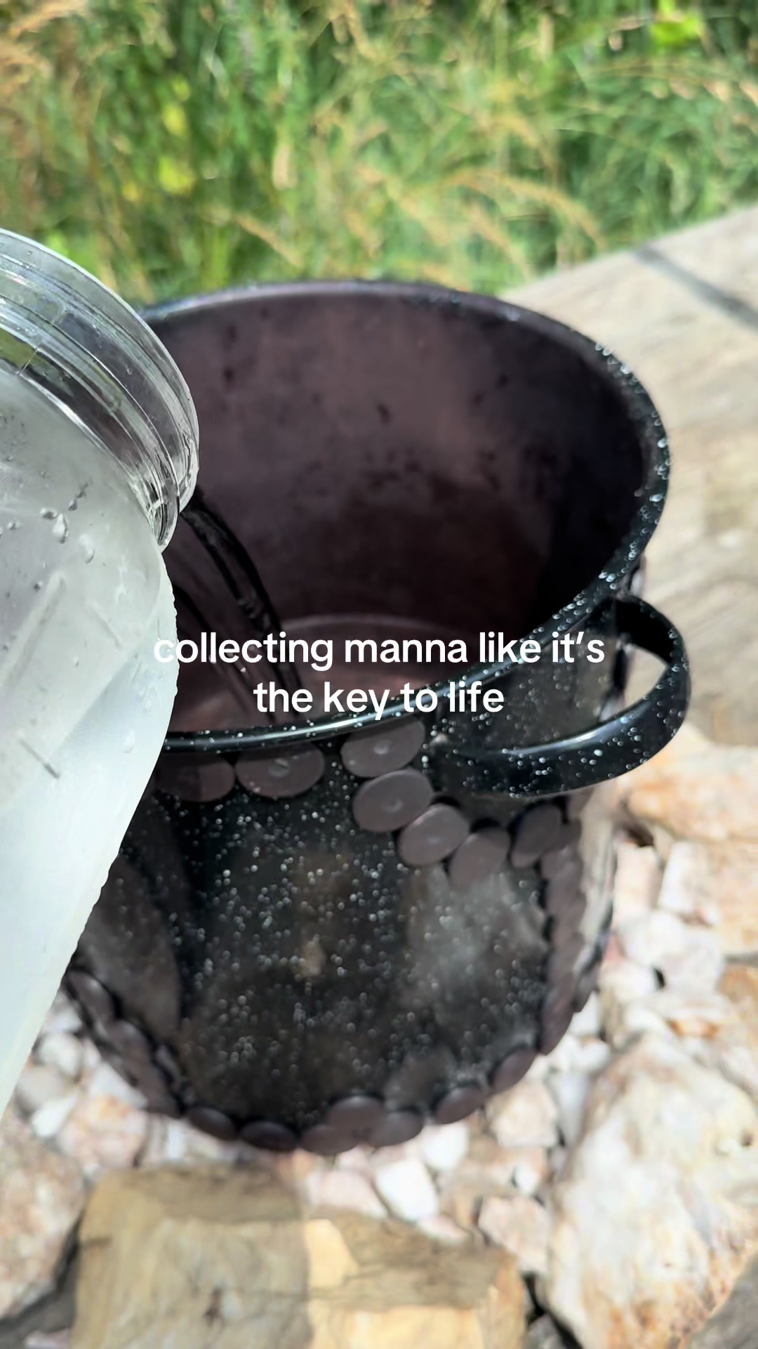@everlivingwater