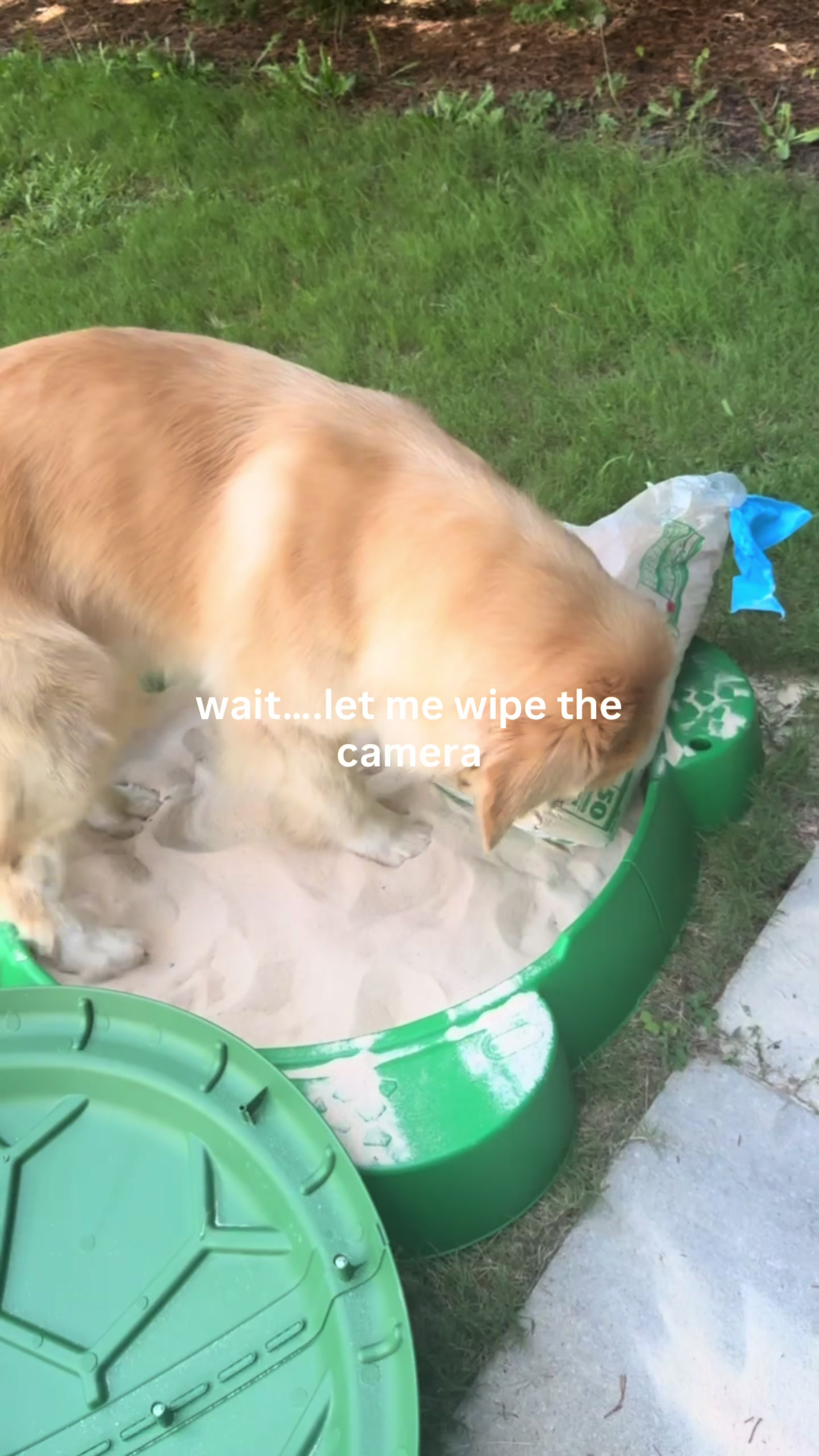 @DogMomisms
