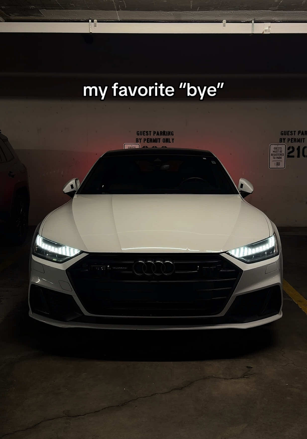 @polina